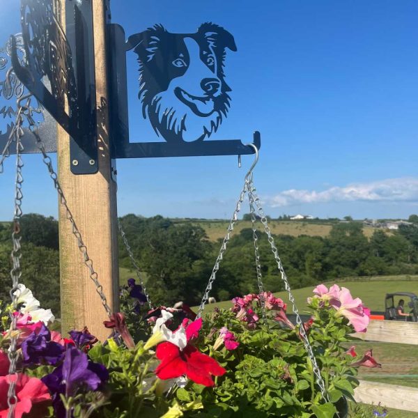 Border Collie Hanging Basket Bracket