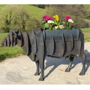Cow FirePit
