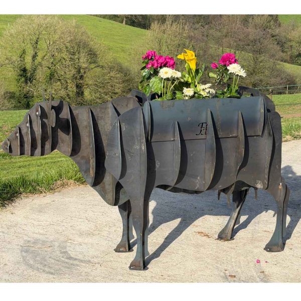 Cow FirePit